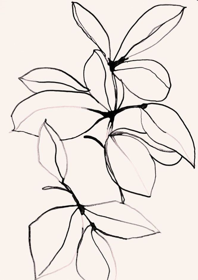 Minimal 1