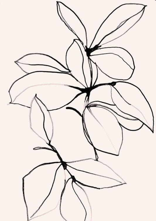 Line & Form 4